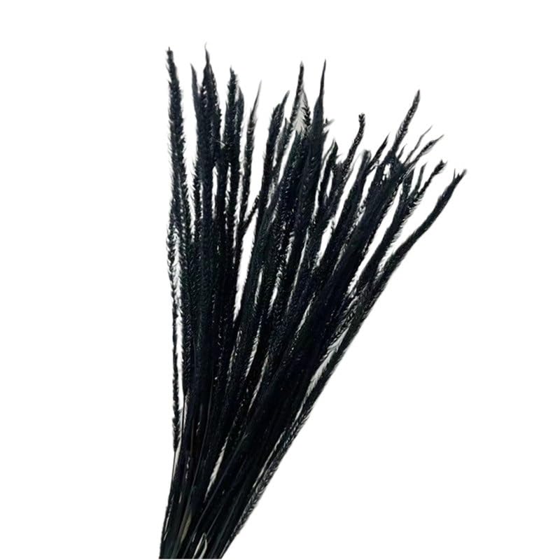 Ramo de plumero pampas negro 5 piezas miniatura 5