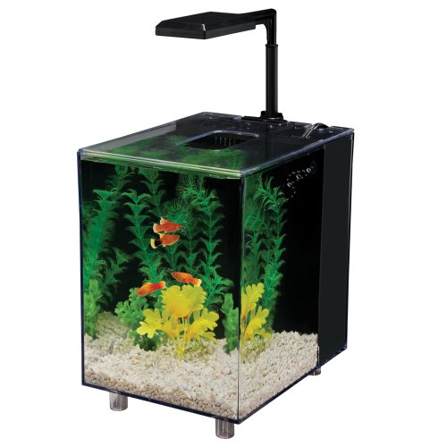 Penn Plax Prism Nano Aquarium Kit With Filter and LED Light, Desktop Size, Black, 2 Gallon