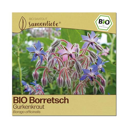 Samenliebe BIO Borretsch Samen | Gurkenkraut - essbare Blüten - samenfestes BIO Saatgut