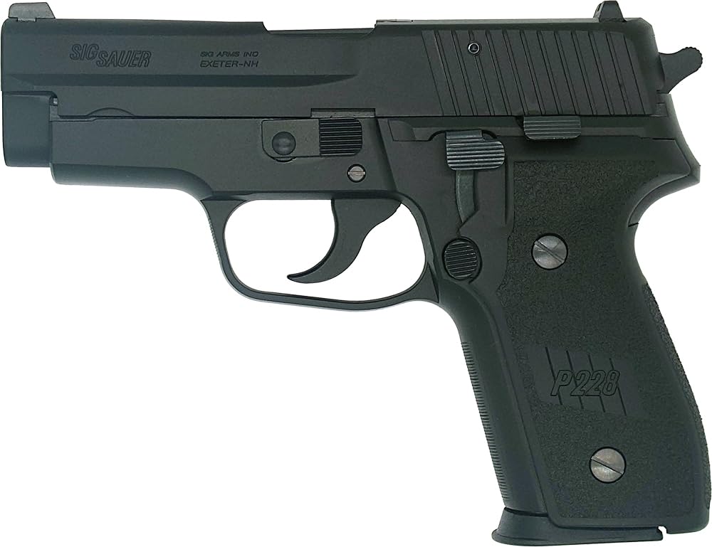 タナカ　sig p228 ヘビーウェイト Amazon | タナカ (Tanaka) シグ P228 エボリューション2 オール