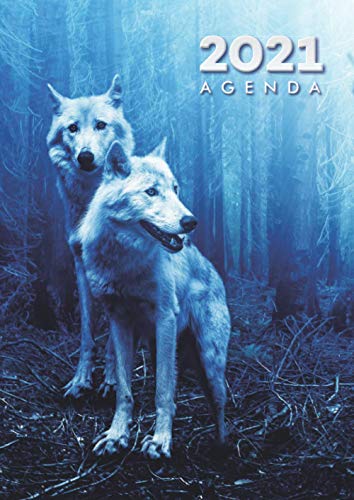 Télécharger Agenda 2021 - Simple & Funky: Agenda semainier 2021 | Janvier à Décembre 2021 | Couverture Loup bl PDF Ebook En Ligne