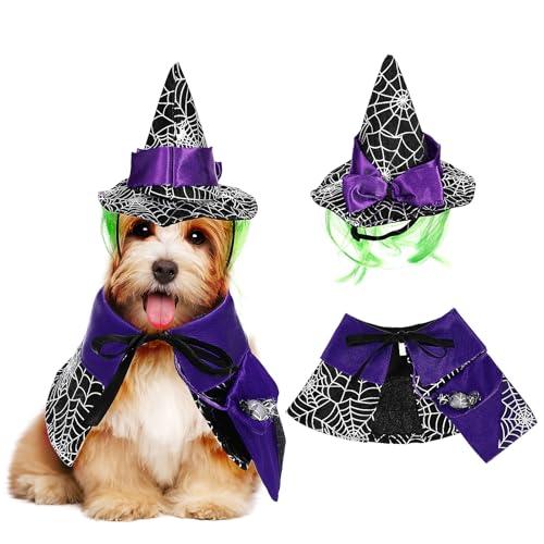 Disfraz Halloween para Perros Pequeños Capa y Sombrero