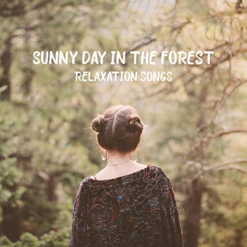 Sunny Day in the Forest Relaxation Songs: 2019 Nature New Age Music Mix, Soothing Sounds of Forest Like Birds, Wind, Animals & Many More