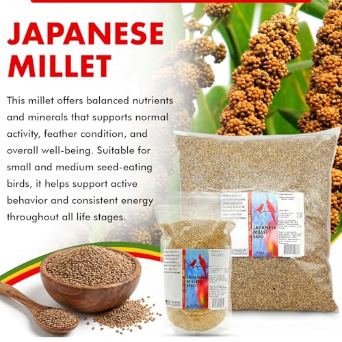 Morning Bird Japanese Millet Seed Bag 9 lbs - Healthy & Nutritious Pet Bird Food to Support Health & Immunity - Delicious Unique and Natural Flavor – Ideal Bird Feed for All Seed Eating Birds - Image 3