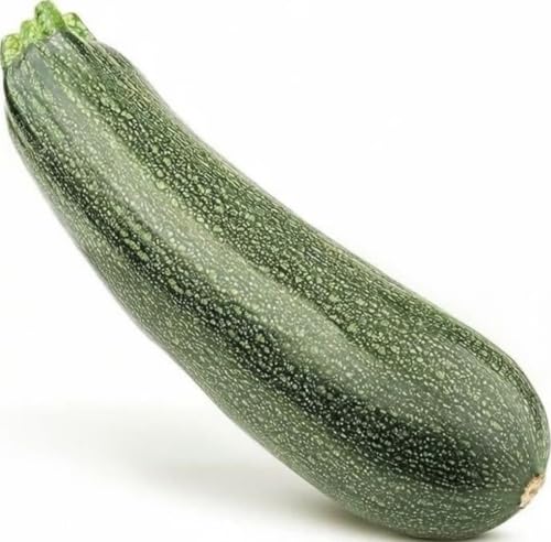 Calabacin (unidad) - 370g aprox