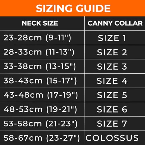 Canny Colossus Hundehalfter | Anti-Zug-Halsband für Hunde großer Rassen | Verhindert, DASS Ihr Hund an der Leine zieht | Kopfgeschirr Mit Gepolstertem Halsband | Schwarz