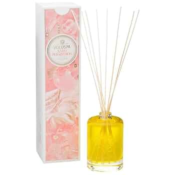 「Daisy」ピュアルネッサンス　ホルミシスヒザティ Daisy」ピュアルネッサンス ホルミシスヒザティ 2025年最新