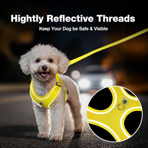 Feycig Hundegeschirr Kleine Hunde, Anti Zug Einstellbar Reflektierend Geschirr, Atmungsaktiv Weiches aus Mesh Geschirr Hund Leichtes Welpengeschirr Brustgeschirr mit Griff (Gelb, X-Small)