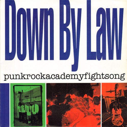 Punkrockacademyfightsong [Vinyl]