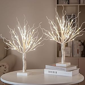 Brightdeco 2 Pieces Lighted Birch Tree 36LT LED Wedding Centerpieces Artificial Branches Table Money Tree Gift Holder…
