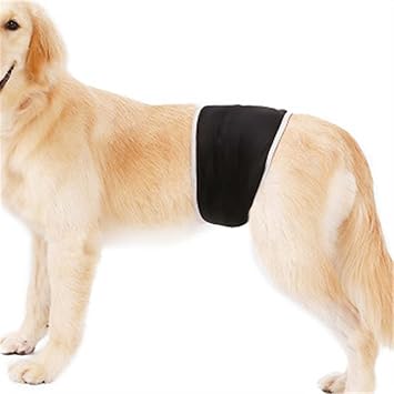 Amazon Co Jp Nikka 日華 犬 マナーベルト 男の子 大型 マナーバンド マーキング 尿もれ オシッコ対策 しつけ 消臭 かぶれ 嫌がる 介護 去勢 交配 ブラック L ペット用品 Amazon Co Jp Nikka 日華 犬 マナーベルト 男の子 大型 マナーバンド マーキング 尿もれ オシッコ対策 しつけ 消臭 かぶれ 嫌がる 介護 去勢 交配 ブラック L ペット用品