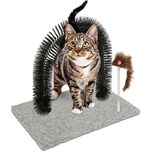 Oramics Katzenspielzeug Enthaarungsbogen mit Kratzteppich