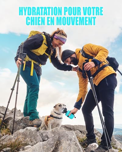lesotc 520ml Hundetrinkflasche für unterwegs, Faltbare Hund Auslaufsicher Wasserflasche, Hunde Wasserspender für Täglich Spazieren Gehen Reisen Campen