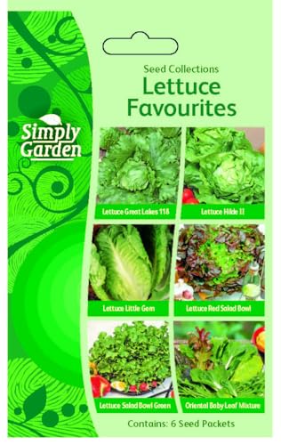 Lettuce Seeds 6 in 1 Pack Mixed Leaf Cos & Crisphead Little Gem Great Lakes Salad Bowl Red & Green Oriental Mix Grow Your Own Salad