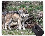 2.Tamaño: 7.22 x 5.91 in. / 22x 18 cm o 8.53 x 6.89 in. / 26 x 21 cm o 9.85 x 8.2 in. / 30 x 25 cm;