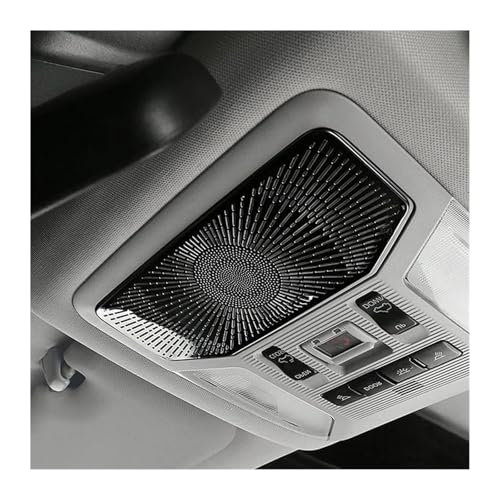Plafonnier de console pour Toyota RAV4 anti-rayures et cache tweeter