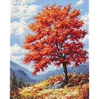 DIY Teppich Knüpfset Birkenwald - Häkelteppich Set 60x90cm Für Erwachsene