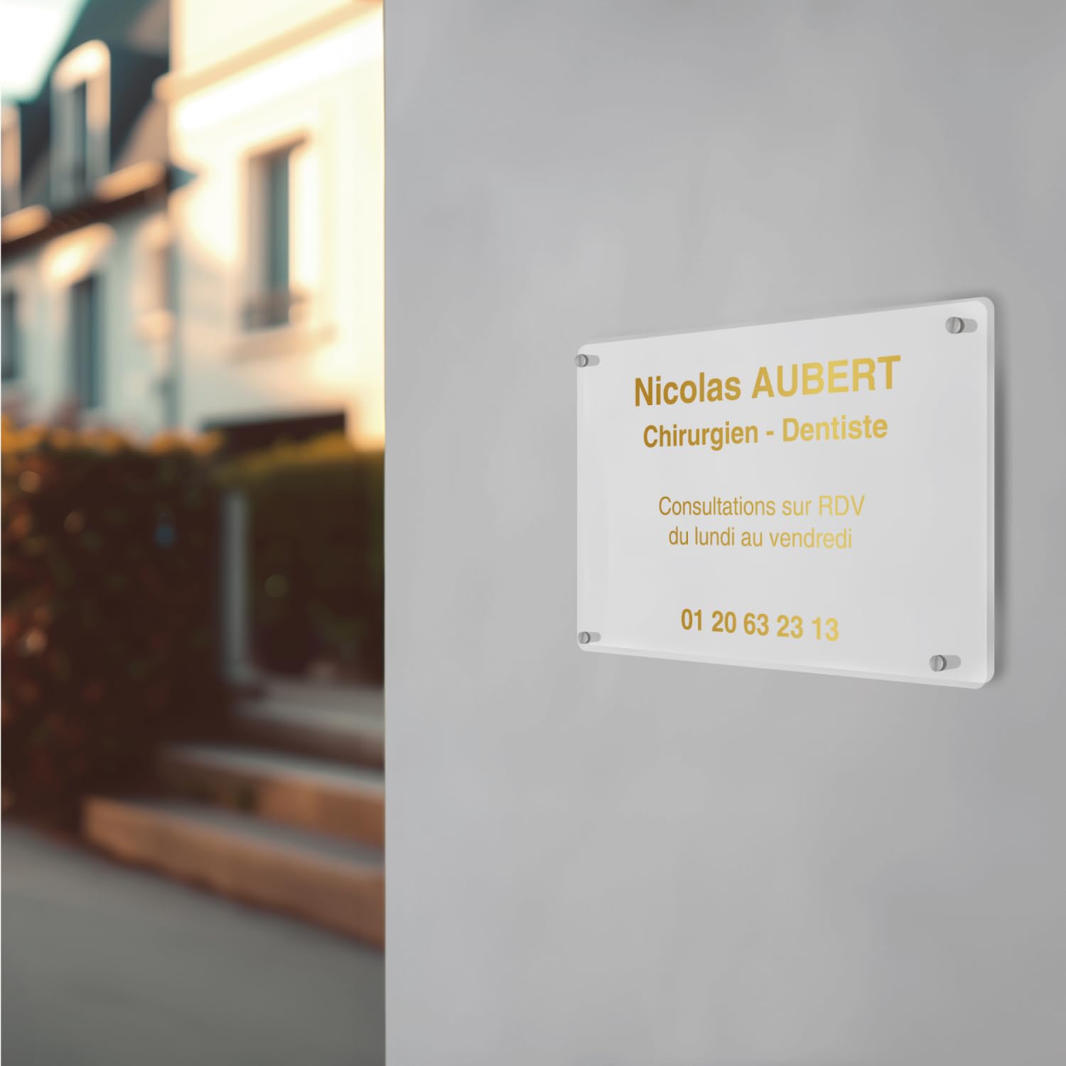 Plaque professionnelle transparente en Plexiglas à personnaliser avec entretoises - format 30x20 cm