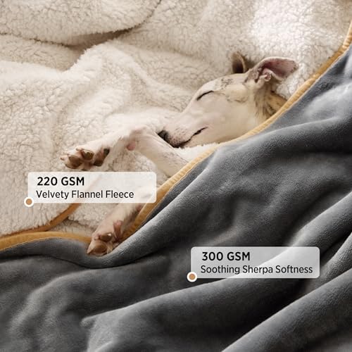 LE SURE wasserdichte Hundedecke Grosse Hunde - 100x80cm Outdoor Hundedecke waschbar, Hunde Decke Sofaschutz aus Sherpa Fleece, Katzendecke flauschig und weich, Grau