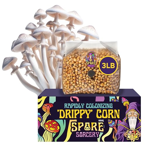 SPORE SORCERY Drippy Corn Mushroom Grain Spawn Bag – 3lb – Pre-Sterilized, Rapid Colonization, .2 Micron Filter for Gas Exchange – Ideal for Mushroom Cultivation