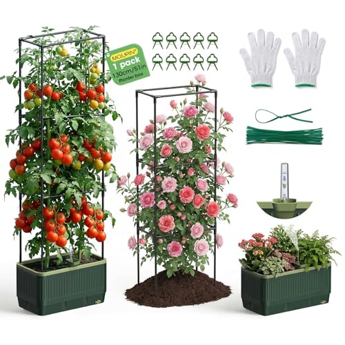 MQUPIN Raised Garden Bed Tomato Planter with...