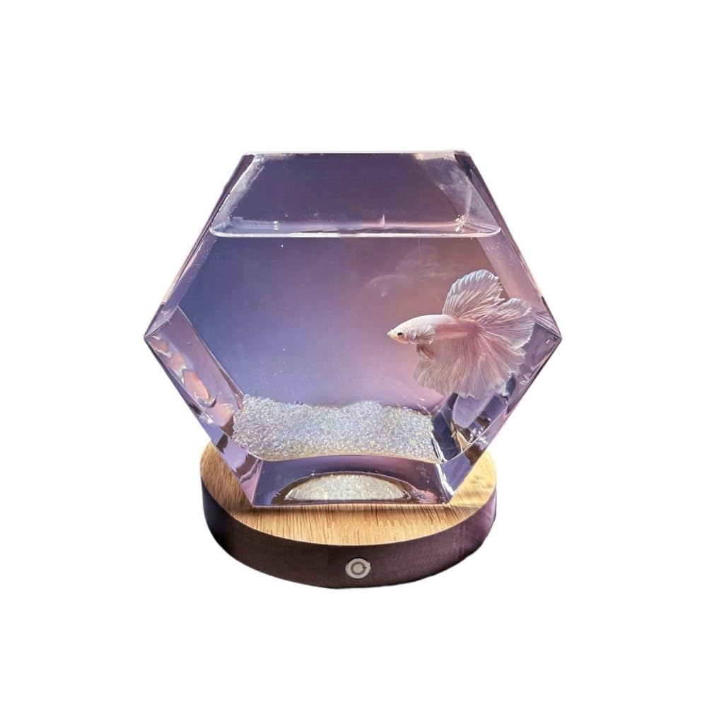 Aquarium Kampffisch-Aquarium mit Sockel, fünfeckiges, transparentes Glasbecken, kleines Aquarium, dekoratives Element for Wohnzimmer oder Schreibtisch