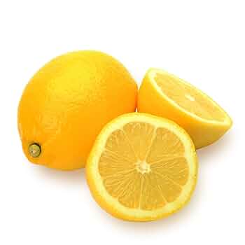 柑橘　果樹苗　トゲなしレモン　ビアフランカ　苗木 楽天市場】トゲなしレモン 【ビアフランカ】 2年生 接木 苗木