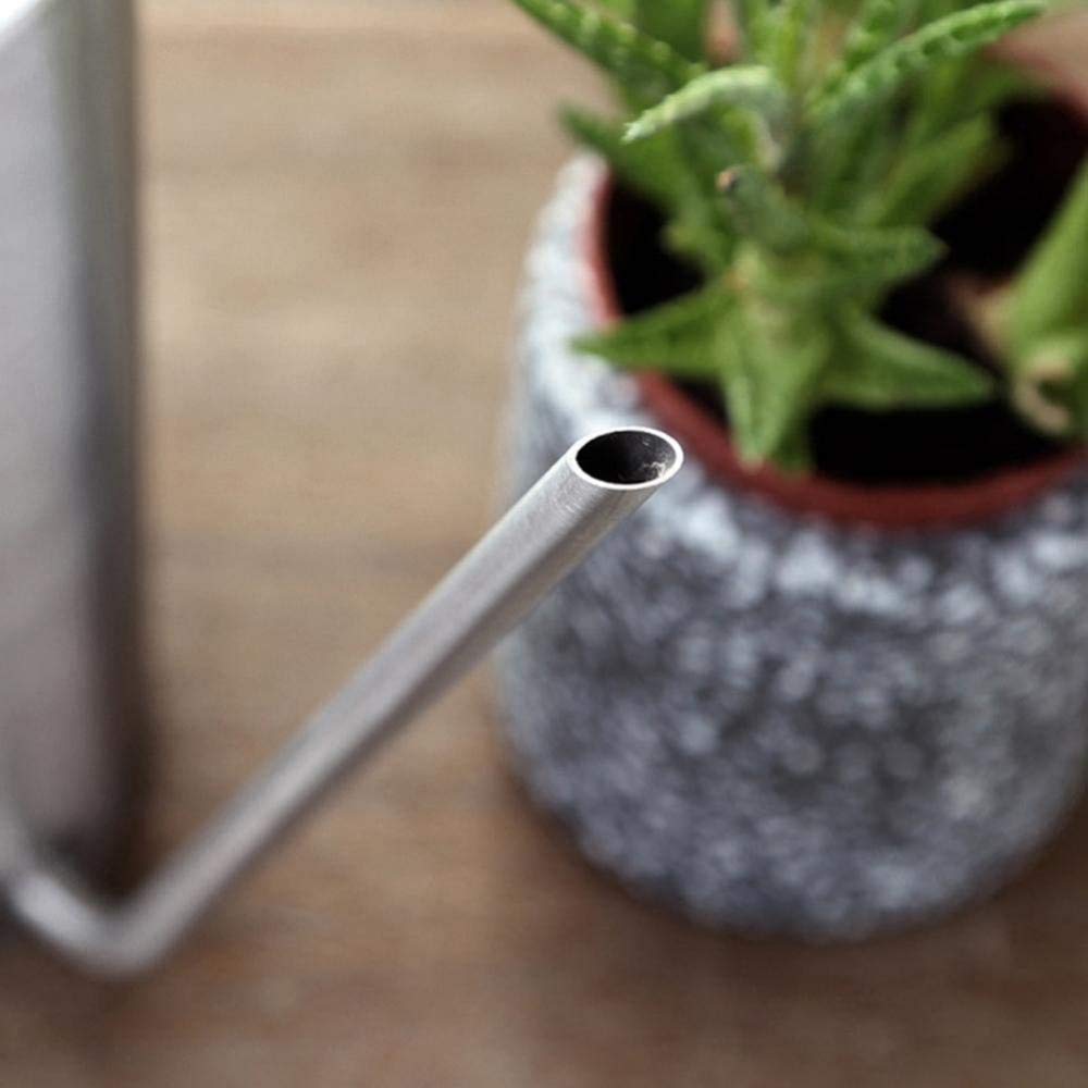 zaizai Annaffiatoio in Acciaio Inossidabile da 1,5 Litri Annaffiatoio con Beccuccio Lungo Vaso Spazzolato Vaso per Irrigazione in Metallo per Fiori Bonsai Piante in Giardino Ufficio