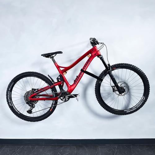 Borgen Fahrrad Wandhalterung Holz mit 20 kg Tragkraft - stabile Fahrradhalterung Wand für Rennrad, MTB und E-Bike - Eiche Natur
