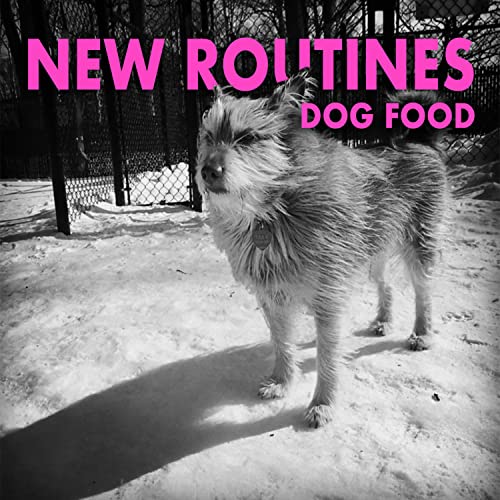 Revamp Your Pooch's Diet with These Top 10 Dog Food Routine MustHaves