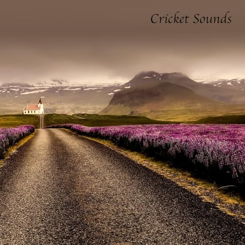 White Noise For Babies, Crickets & Baby Sleep Sounds