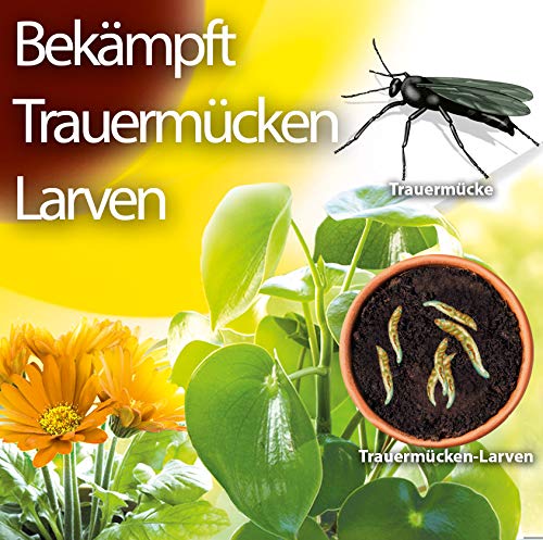 Substral Celaflor TrauermückenEX, 4 x 7,5 ml Konzentrag, gegen Larven der Trauermücke und andere Schädlinge und Schadinsekten, Grün