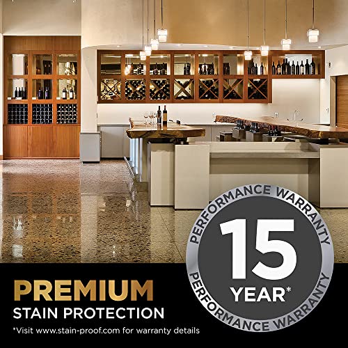 Dry-Treat 110513 Stain Proof Premium Impregnating Sealer thumb #2