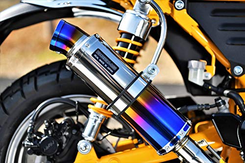Amazon | ビームスモーターカンパニー(Beams Motor Company) R-EVO