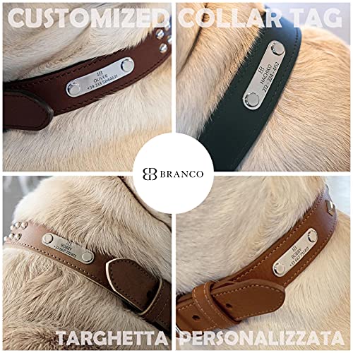 Collier chien cuir lavable durable avec plaque personnalisable de taille XL - 6