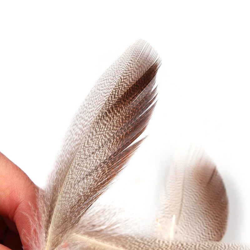 Plumas naturales de pato mallard 50 piezas para atado de moscas miniatura 7