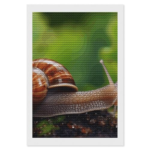 Kit peinture diamant 5D PNOMEDPKJ broderie diamant décoration murale