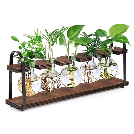 THYGIFTREE Estaciones de propagación de plantas con soporte de madera, jarrón retro de escritorio para flores hidropónicas de interior, maceta de vidrio de mesa, regalos de inauguración de la casa