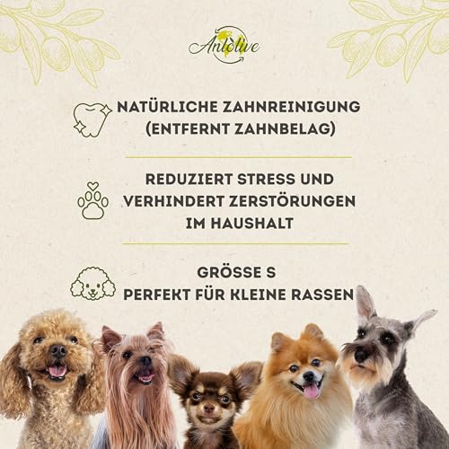 Anlolive | Pack 3 Natürliche Kausticks Größe S 15 cm | Für Kleine Hunde | Olivenholz-Stick | Sicheres, Gesundes und Langlebiges Spielzeug | Pflegt die Zähne, Reduziert Angst und Stärkt den Kiefer