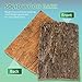 SEWACC 2pcs Natural Cork Bark Bits Reptile Bark Bedding Flat Cork Bedding Terrariums Substrate for Snake Spiders Bearded Dragons Frogs Tank Supplies