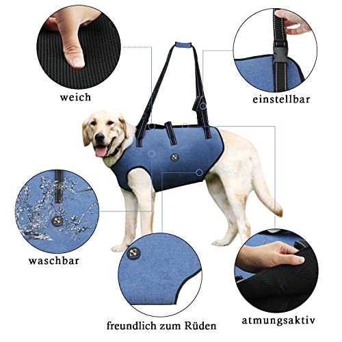 Coodeo Hundeliftgeschirr, Haustierunterstützung & Rehabilitation Sling Lift Verstellbare Gepolsterte atmungsaktive Gurte für Alt, Gelenkverletzungen, Arthritis, Stabilitätsverlust Hunde(Blau, L)