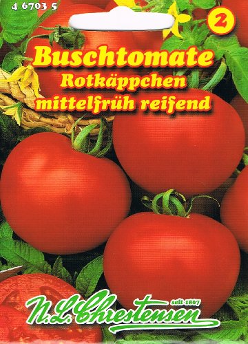 Preisvergleich Produktbild Buschtomate Rotkäppchen Tomate Tomaten