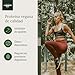 Chlorella Ecológica Premium para 165 días - 500 comprimidos de 500mg -...