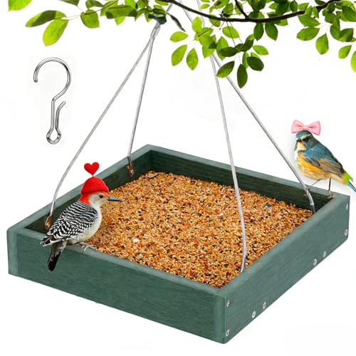 Gtongoko Platform Bird Feeder Hanging, Durable, Recycled Plastic Seed Tray Bird Feeder for Outdoors with Metal Mesh Bottom Large 3.5 lbs Capacity Weather-Resistant for Garden Yard, Green