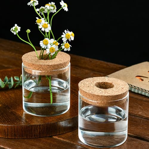 Feoowv Clear Glass Planter Vase With Wooden Lid And Bamboo Stand For Hydroponic Plants thumb #2