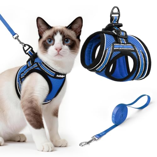 Image of rabbitgoo Cat Harness and Leash Set, Step-in Soft Vest, Blue | Escape Proof, Lightweight, Easy-on & Adjustable, Hook & Loop with Buckle, Reflective, for Small Cats Walks, L