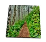 12 x 12 inches spiral bound glossy hard covered 1 inch twin loop wire binding spine 35 unlined pages, 11.4 x 11.2 inches - page thickness is 63lb cover Acid free blank bright white non-coated paper Pages lay flat when book is opened