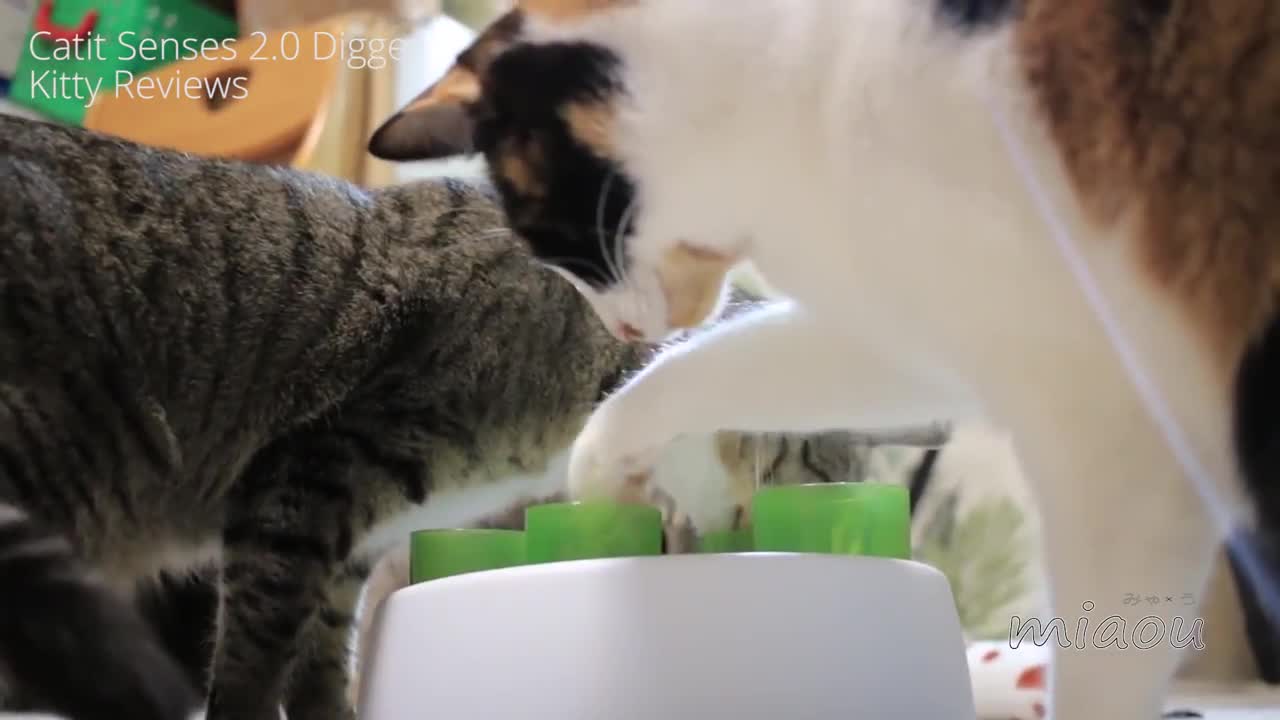 Catit Senses 2.0 Digger Interactive Cat Toy - Engaging Puzzle.