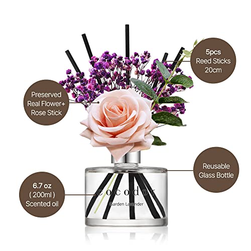 Image of COCODOR Rose Flower Reed Diffuser /White Jasmine /6.7oz /1Pack / Home Fragrance Scent Essential Oil Stick Diffuser for Bedroom Bathroom Home Decor for Women