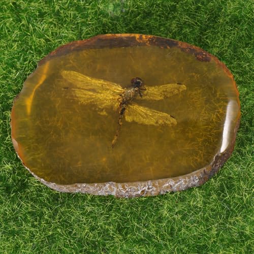 Breloques ambre artificiel résine pour réussir facilement vos bijoux faits main - 5